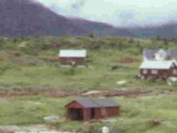 vikan 2